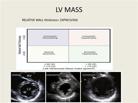 lv wall thickness on echo